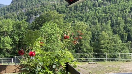 Store Californie Smart 4