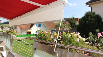 Store Californie coffre 2