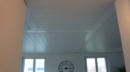 Plafond 3