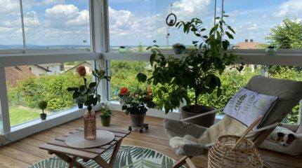 Véranda bois-métal 4